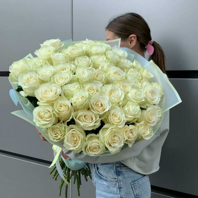 51 Roza Ekvador, 51 roza ekvador