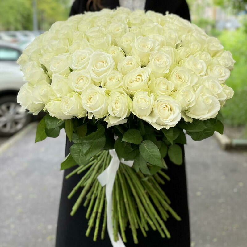 101 belaya Roza, 101 roza