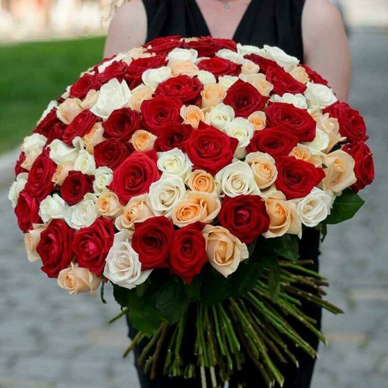 101 Роза Микс, 101 роза микс