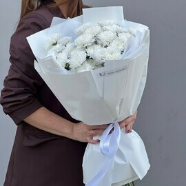 5 hrizantem kustovih