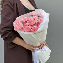 3 hrizantemi kustovie