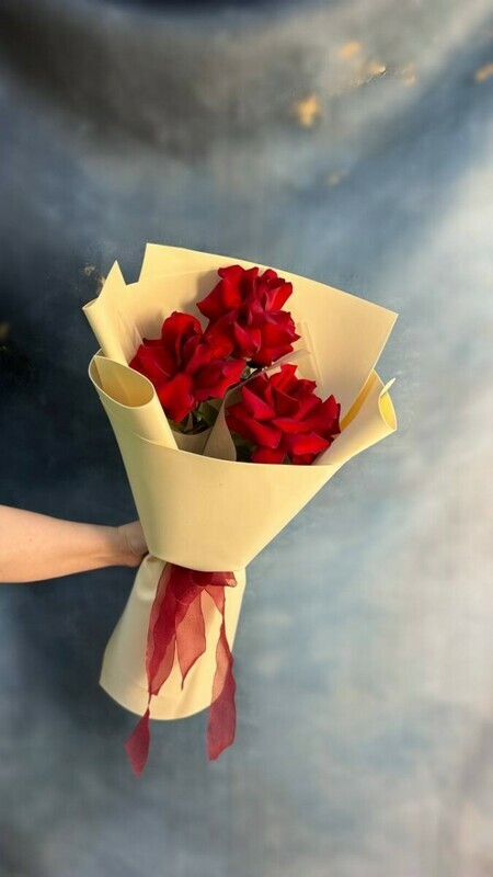 Frantcuzskij sharm, frantcuzskij sharm