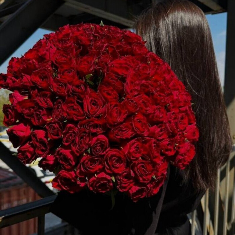 101 причина любить , премиум