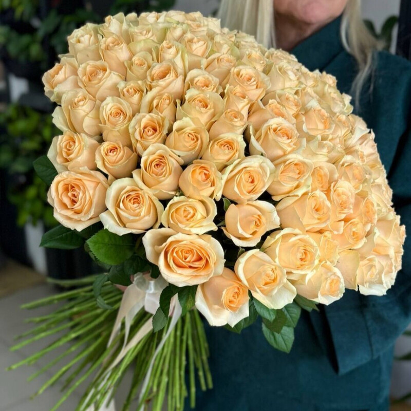 101 Роза , букет мечта 