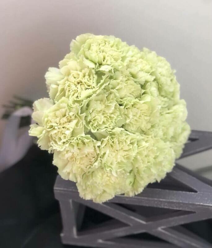 Гвоздика 25шт, гвоздика 25шт