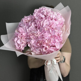 Милые Гортензии 