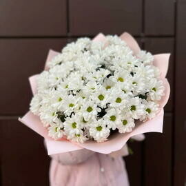 Букет из 11 ромашковых хризантем