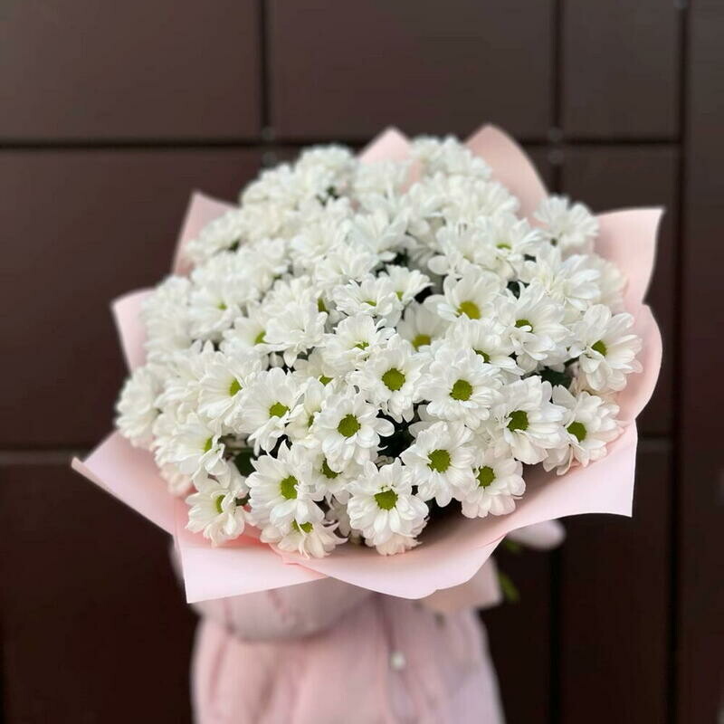 Buket iz 11 romashkovih hrizantem, buket iz 11 romashkovih hrizantem