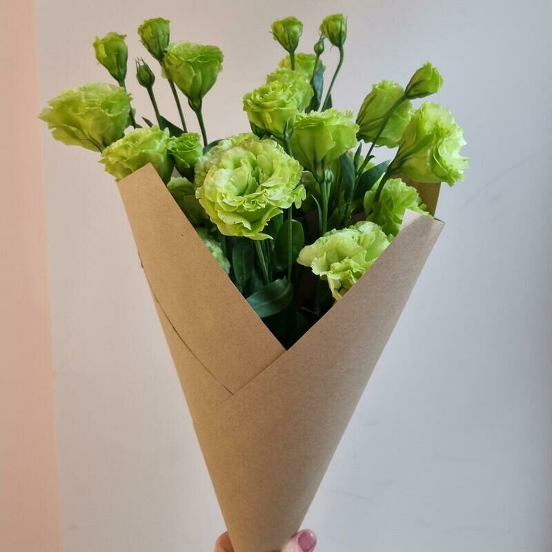 Эустома лаймовая, эустома лаймовая