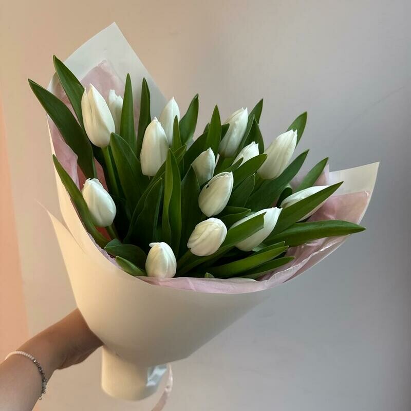 Белые тюльпаны, белые тюльпаны