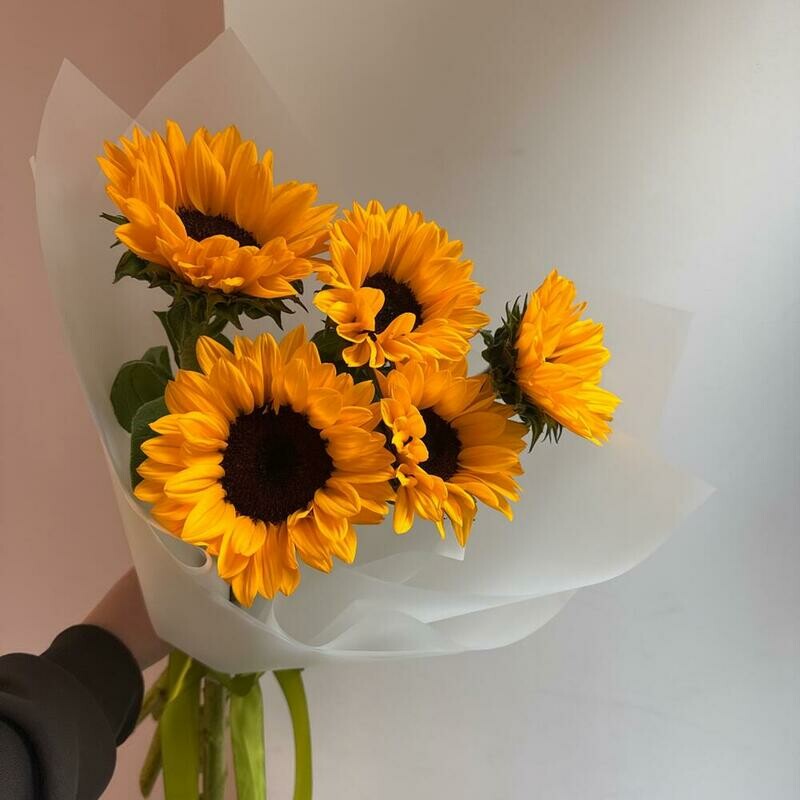 Солнечные яркие подсолнухи, солнечные яркие подсолнухи