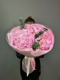 Розовые гортензии 