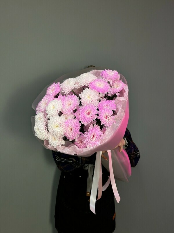 Розовые хризантемы , стандарт 