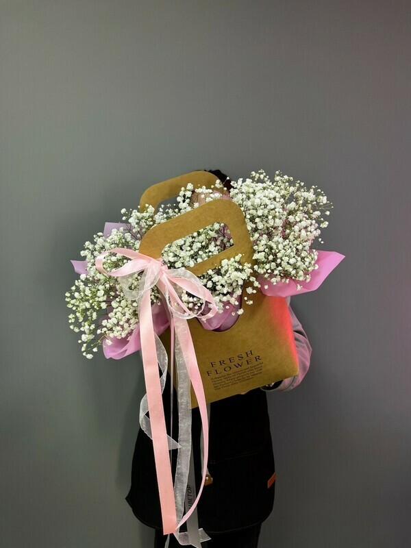 Stojkaya gipsofila v sumke, standart