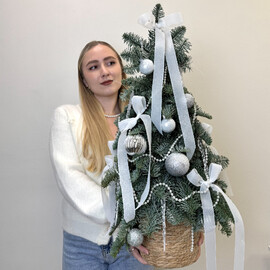 Ёлка из живого нобилиса с серебристыми украшениями