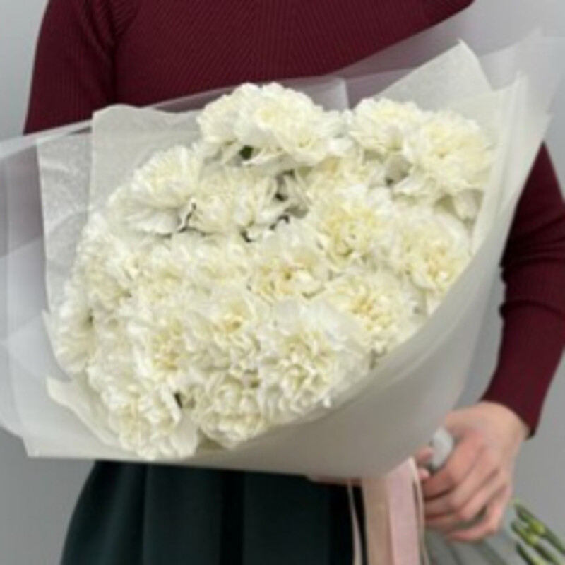 Букет из 25 белоснежных гвоздик, стандартный