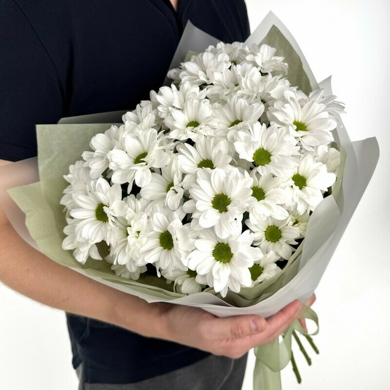 Mono iz romashek, standart