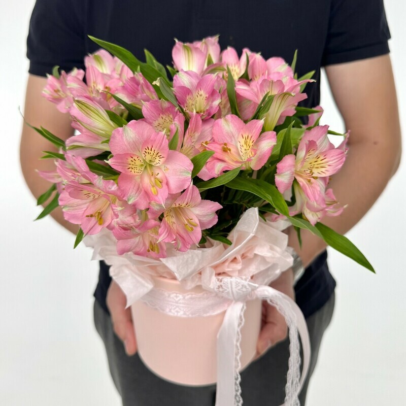 Rozovaya al_stromeriya v shlyapnoj korobke, standart