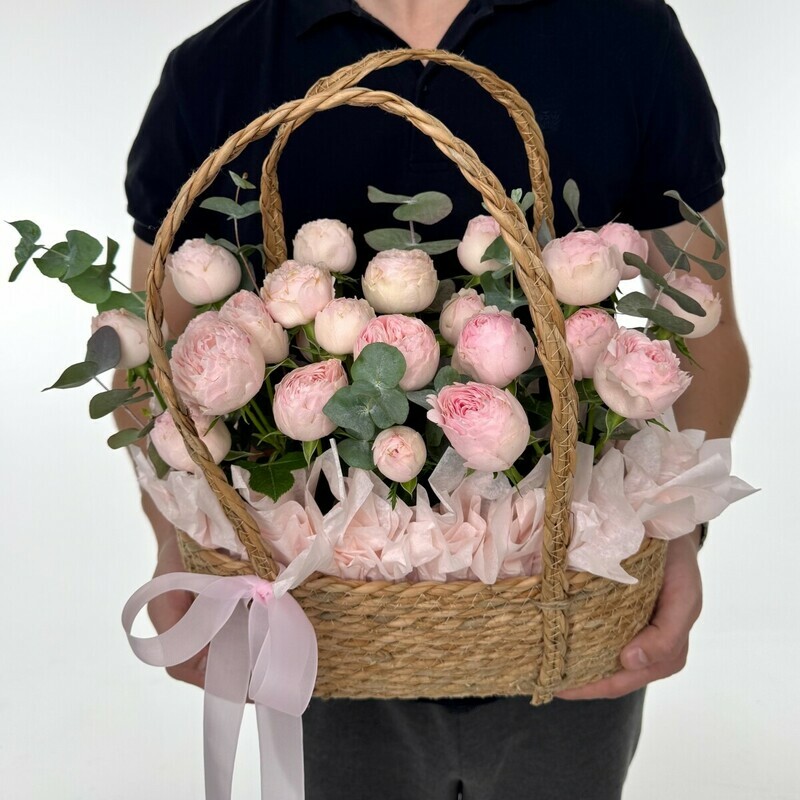 Korzinka s kustovoj rozoj Mensfild Park s evkaliptom, standart