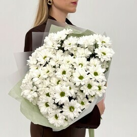 Букет из кустовых хризантем Кеннеди