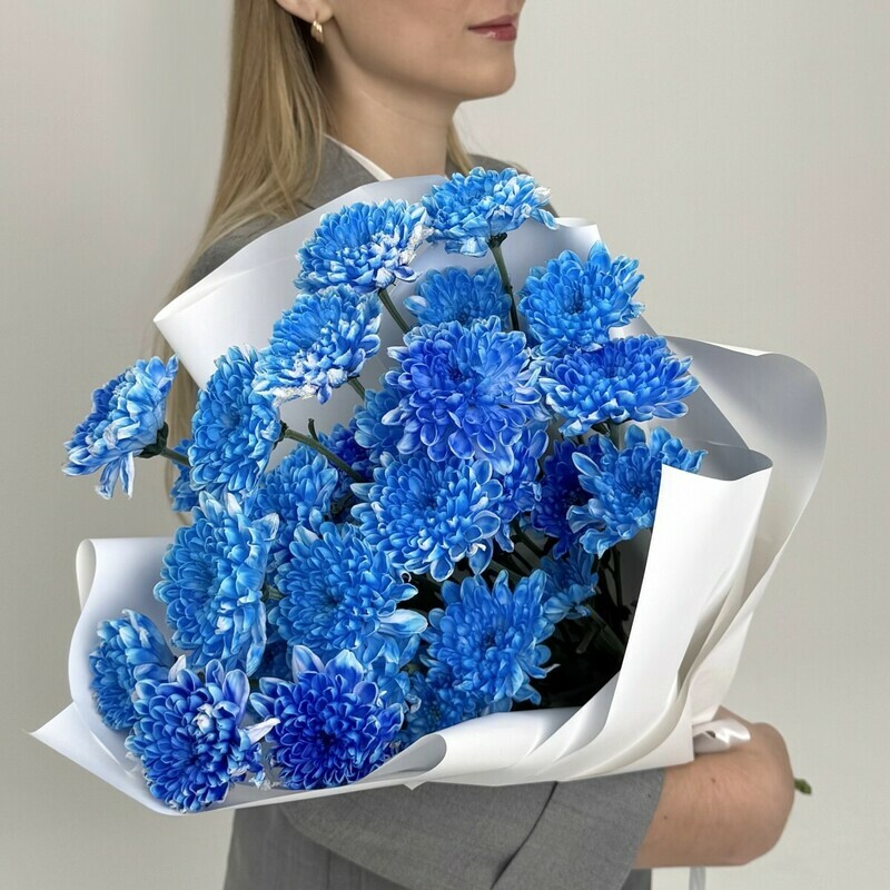 Buket iz goluboj hrizantemi, standart