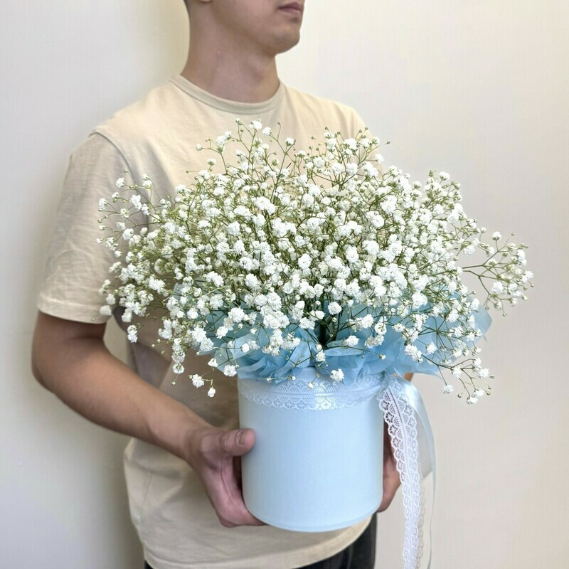 Белая гипсофила в коробочке, стандартный