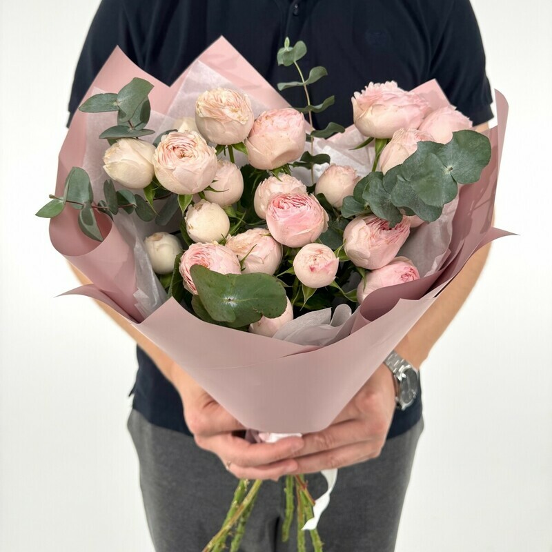 Kustovaya roza Mensfild Park s evkaliptom, standart