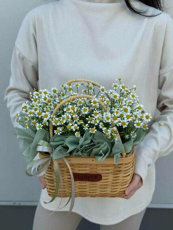Корзинка с полевыми ромашками, стандартный
