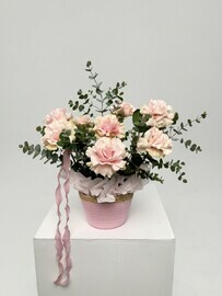 Rozovie frantcuzskie rozi v korzine s evkaliptom