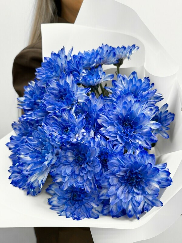 Sinie romashki, standart