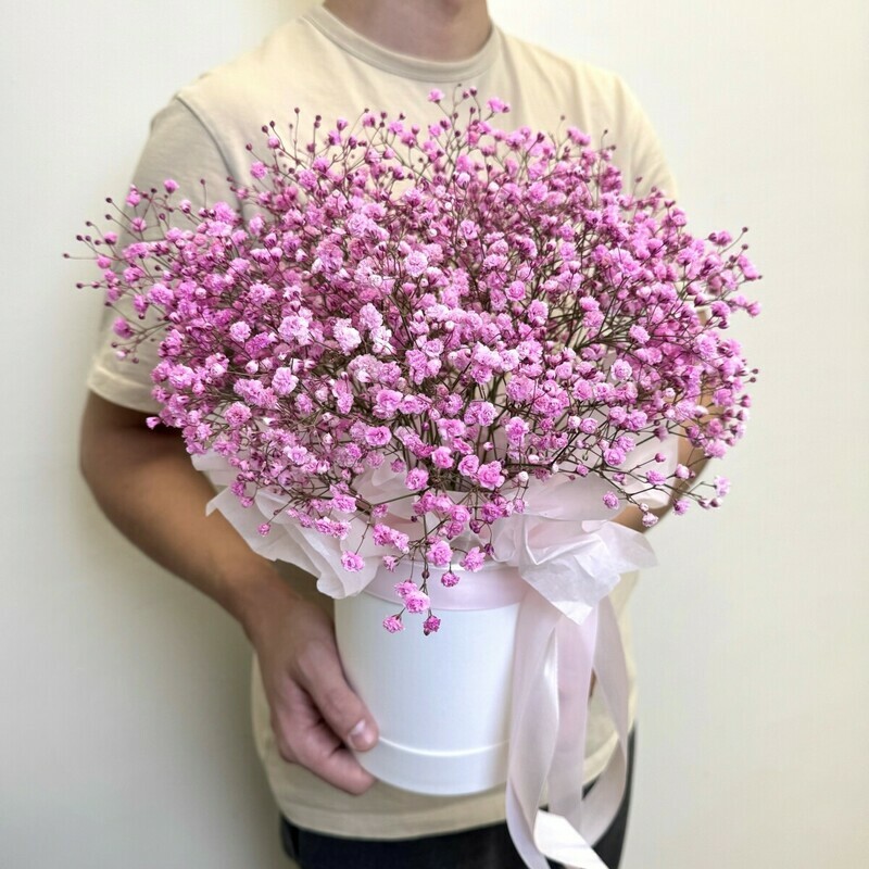 Розовая гипсофила в коробке, стандартный