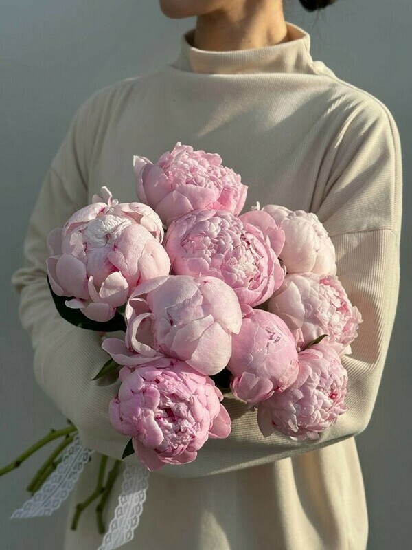 Букет из 9 пионов под ленту, стандартный