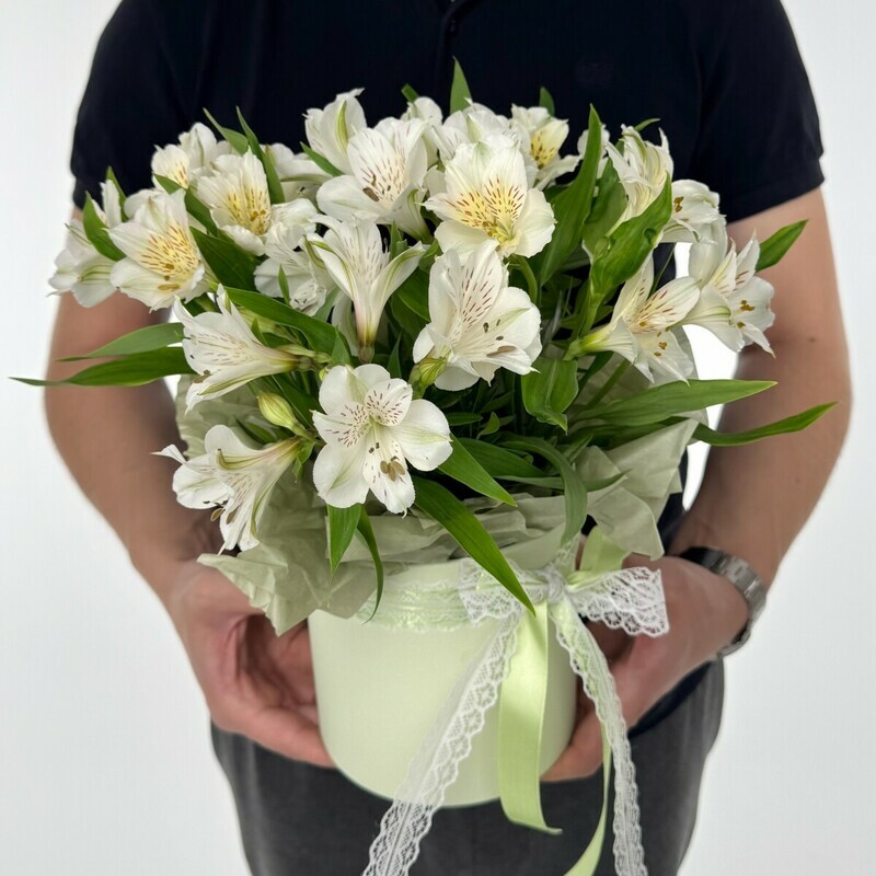 Belaya al_stromeriya v shlyapnoj korobke, standart