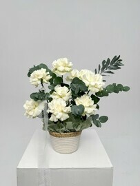 Belie frantcuzskie rozi v korzine s evkaliptom