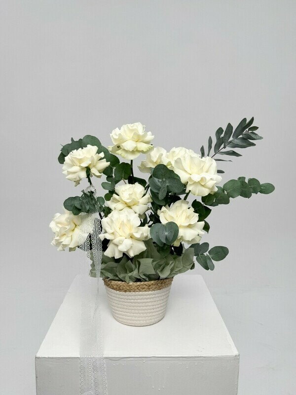 Belie frantcuzskie rozi v korzine s evkaliptom, premium