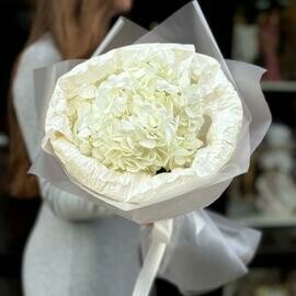 Букет из гортензии