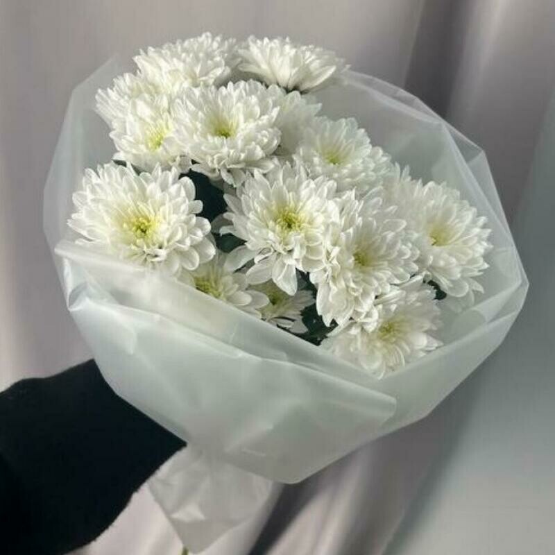 Buket belih hrizantem, standart