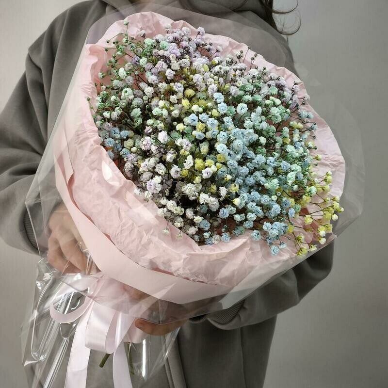 Хит гипсофила разноцветная, стандартный