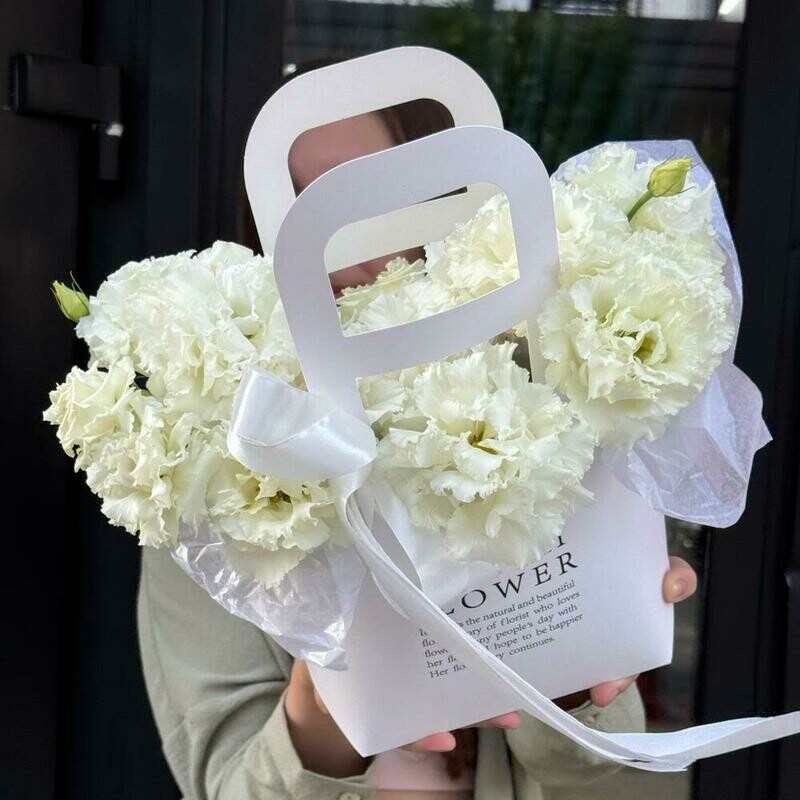 Eustoma v sumochke, standart