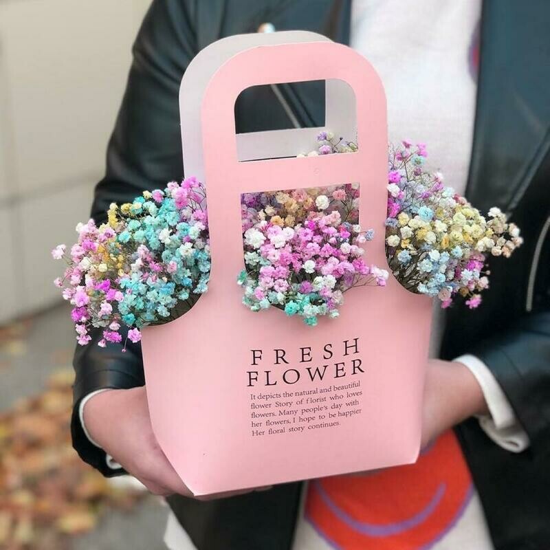 Raduzhnaya gipsofila v sumochke, standart