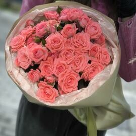 Хит  9 кустовых роз сорта Барбадос