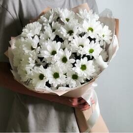 Buket belih romashkovih hrizantem