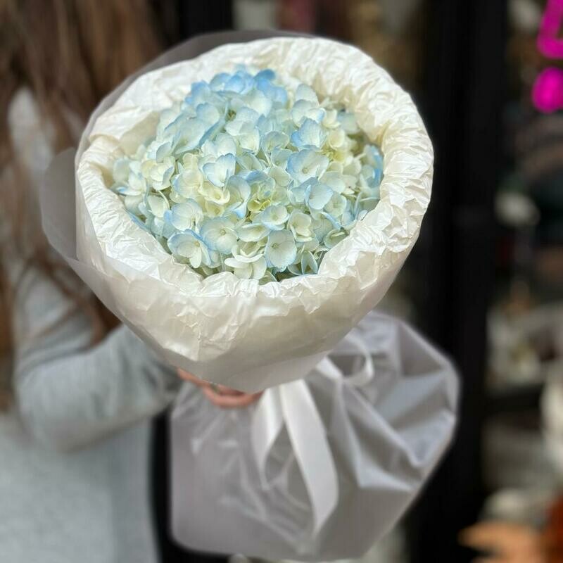 Buket iz goluboj gortenzii, reduced