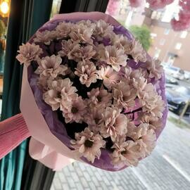 Buket kustovih romashkovih hrizantem