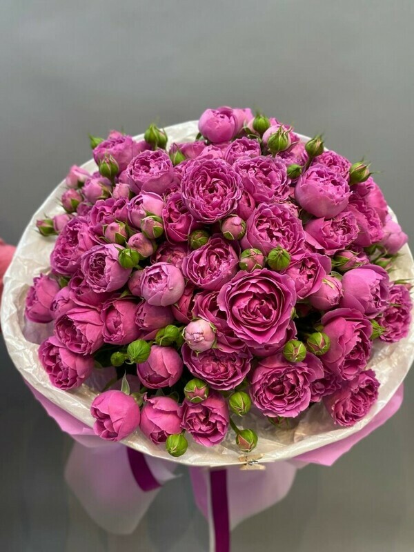 Mono buket iz 23 malinovih kustovih roz, standart