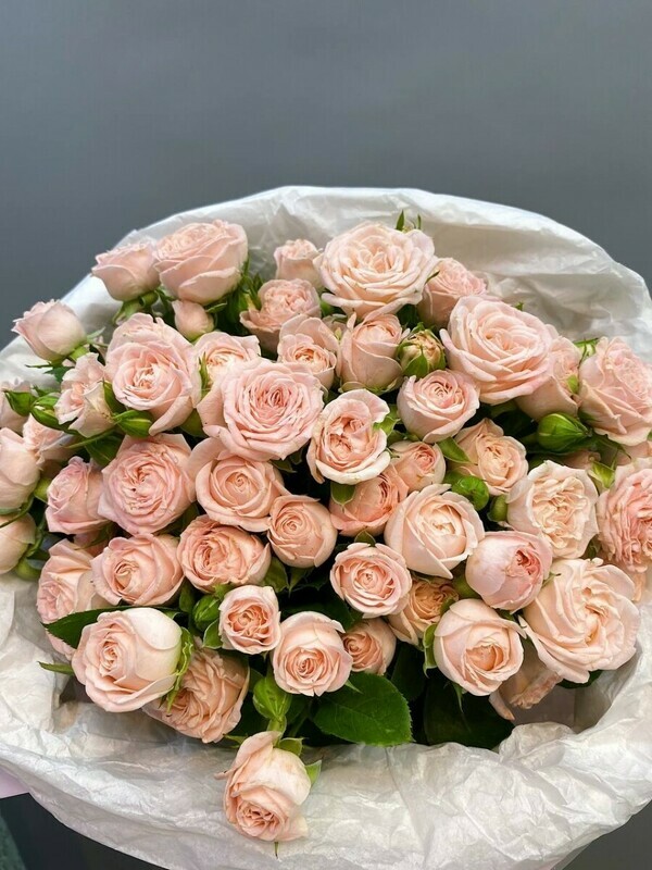 Mono buket iz 17 kremovih kustovih roz, standart