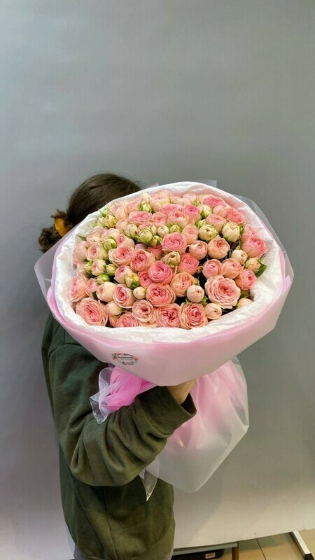 51 kustovaya roza 40sm, standart