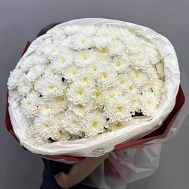 Моно букет из белых хризантем