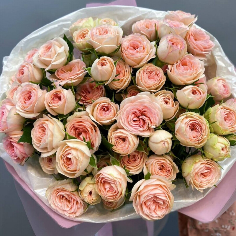 Mono buket iz 19 nezhnih kustovih roz, standart