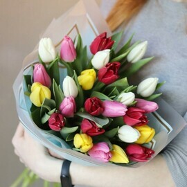 Tyul_pan raznotcvetnij 25sht